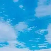 ひめの画像