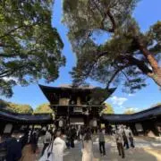 yuの画像