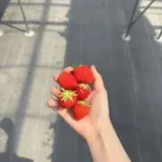 naaabobの画像