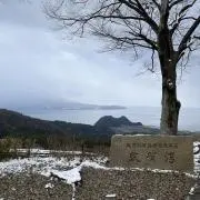 由の画像