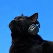 skrの画像