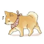 Image of まめしば