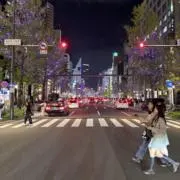 ABC(即購入OK!)の画像