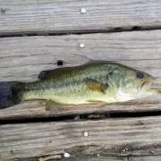 釣り釣り～～～