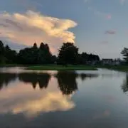 OSTAの画像