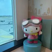pinkの画像