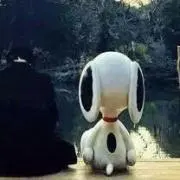 hotarunの画像