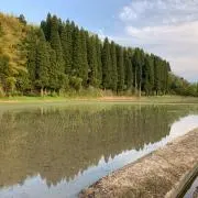 vijanの画像