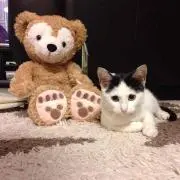 きち