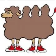 スニーカーキャメルの画像