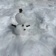 ゆきの画像