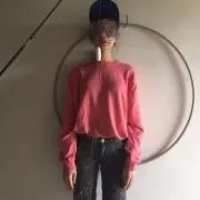 FJの画像