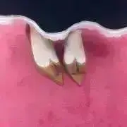もも（断捨離中）の画像