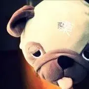 P.U.maronの画像
