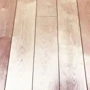 とっとこの画像
