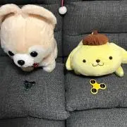 よしすんの画像