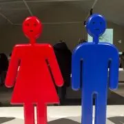 Ｙの画像