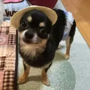 シュガー＊プロフィール確認お願いします＊