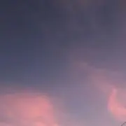 Mickeyの画像