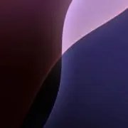 Nesdeeの画像