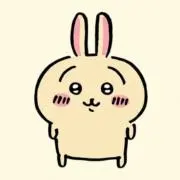 うさぎの画像