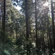 MY-Jの画像