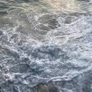 tanakaの画像