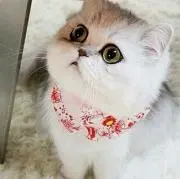 レナ