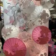 りぼんの画像