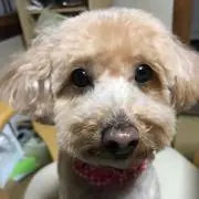 kellyの画像