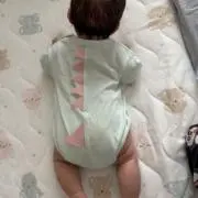 ましろの画像