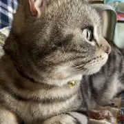 うりすけ＊グッズ整理中