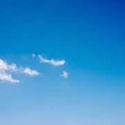 みーちゃんの画像