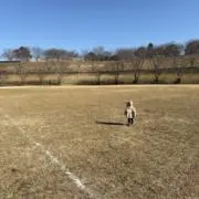 CCの画像