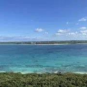 miiiiiiiの画像