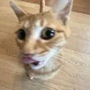 Kan: