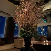 DMPの画像