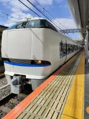 TOMOEの画像