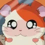 Nの画像