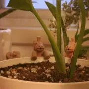 あぐ。の画像