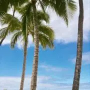 EHSプロフィールの御一読をお願いしますの画像