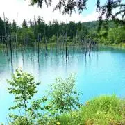 greenの画像