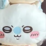 たまの画像