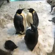 ♡m♡プロフ必読♡の画像