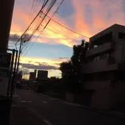 りっぷつ