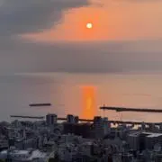 たろうの画像