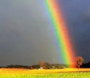 rainbowの画像