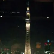 ぽぽぽ
