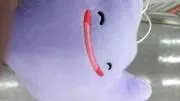 たここの画像