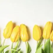 まゆ⭐︎プロフィールをご覧下さい。の画像